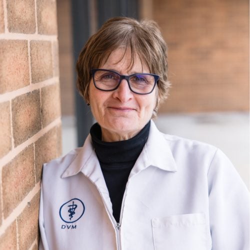 Dr.DruOliveri1